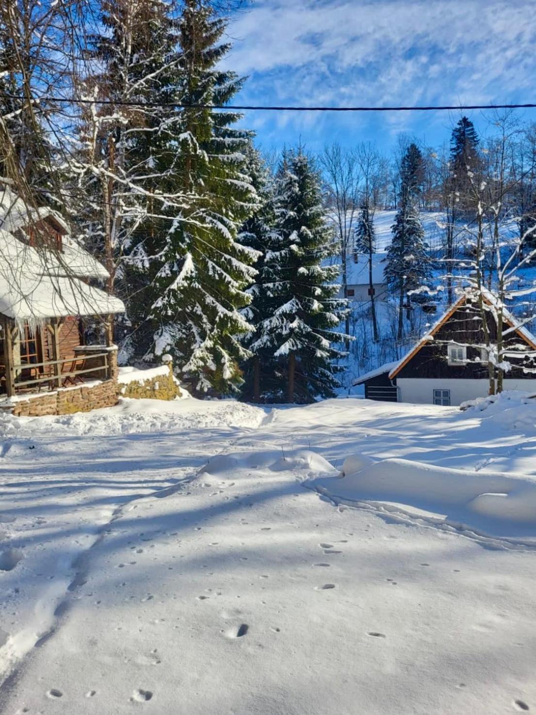 Villa Srub V Bolkovskem Udoli Rudník Exterior foto