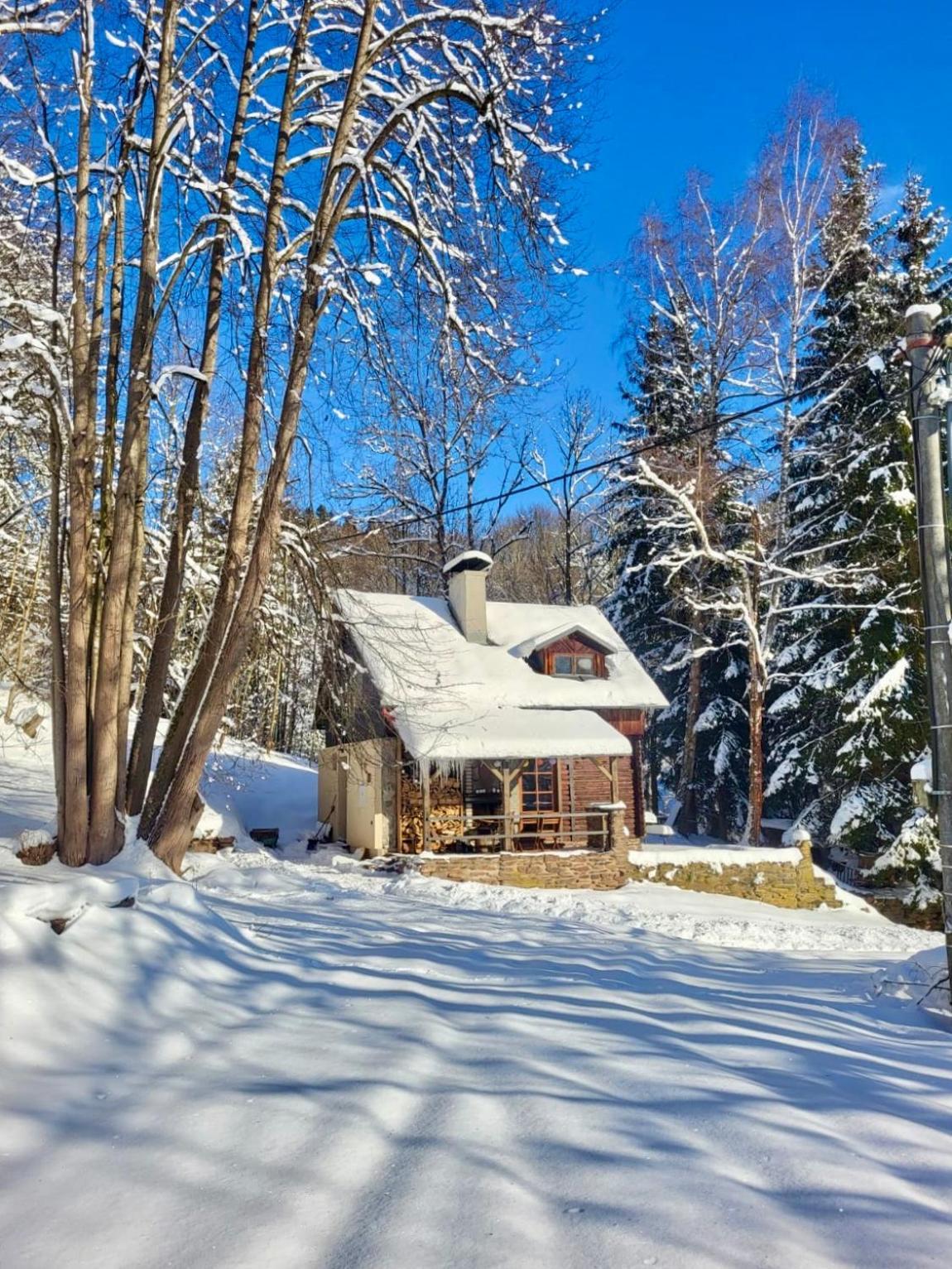 Villa Srub V Bolkovskem Udoli Rudník Exterior foto